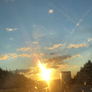 Meet your Posher, Mary anne